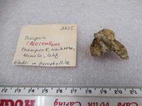 Diaspore
