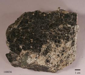 Biotite