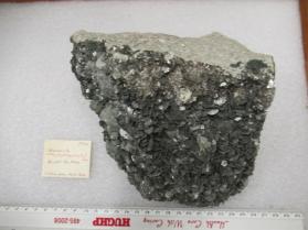 Muscovite