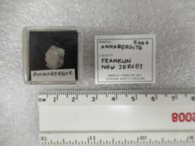 Annabergite (Kraissl Collection)