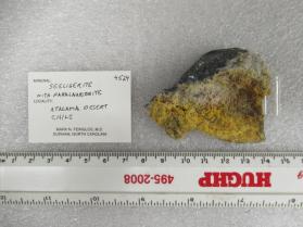Seeligerite with Paralaurionite (2 pieces)
