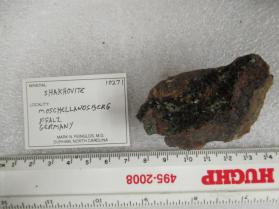 Shakhovite