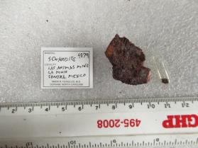 Sewardite (2 pieces)