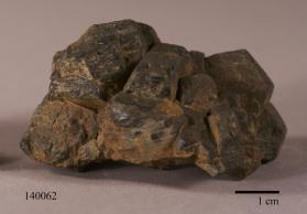 Hornblende