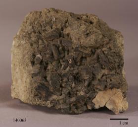 Hornblende