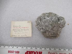 Muscovite