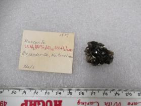 Muscovite