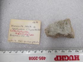 Muscovite, Albite @ Spodumere