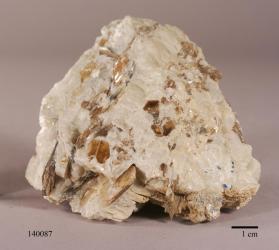 Phlogopite