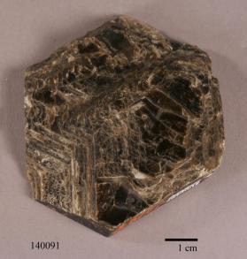 Phlogopite