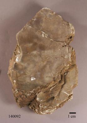 Phlogopite