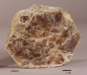 Phlogopite