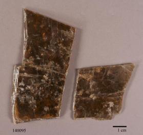 Phlogopite