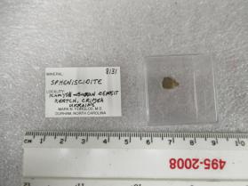 Spheniscidite