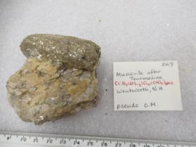 Muscovite pseudo after Tourmaline