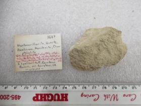 Montmorillonite, Quartz, Analcime, Mordenite, Clinoptilolite