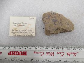 Unknowns, Manganiferous Slickenside