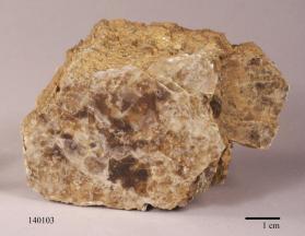 Phlogopite