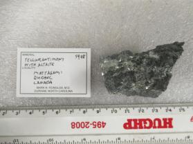 Telluroantimony with Mattagameite, Altaite