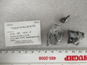 Terrywallaceite (3 pieces)