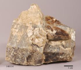 Phlogopite