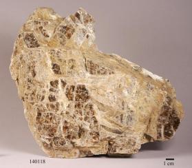 Phlogopite