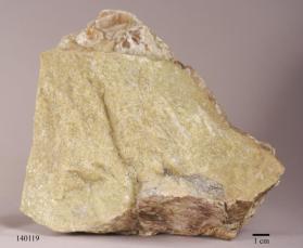 Phlogopite