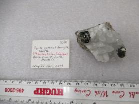 Pyrite, epitaxial Enargite, Quartz