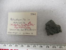 Polydymite in Actinolite