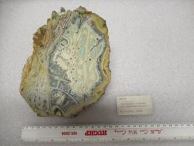 Wardite