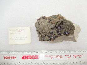 Sphalerite on Chert