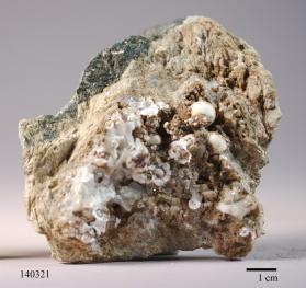 SCOLECITE