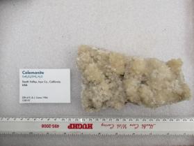 Colemanite