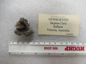 Newburyite