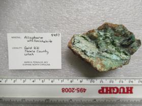 Allophane with Conichalcite