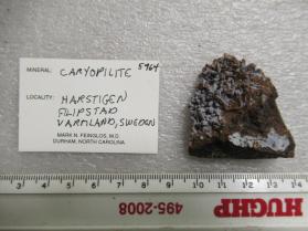 Caryopilite
