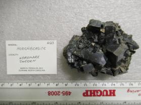 Hedenbergite