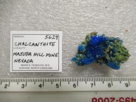 Chalcanthite