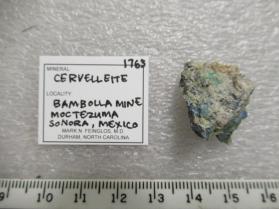 Cervelleite