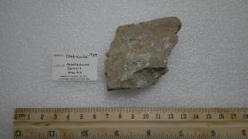 Cesbronite