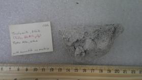 Tridymite, Albite
