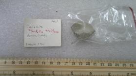 Tunellite