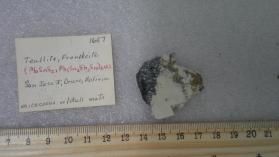 Teallite, Franckuite