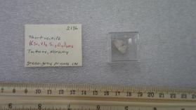 Thortventite