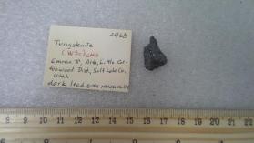 Tungstenite