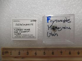 Feynmanite
