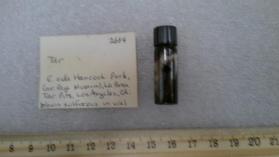 Tar ("Pittasphalt" - Dana 6th)
