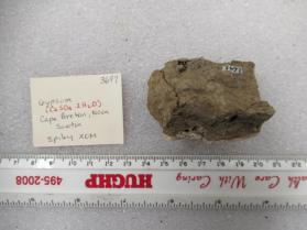 Gypsum