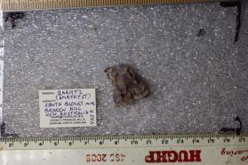 Quartz var. Amethyst