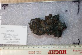 Copper